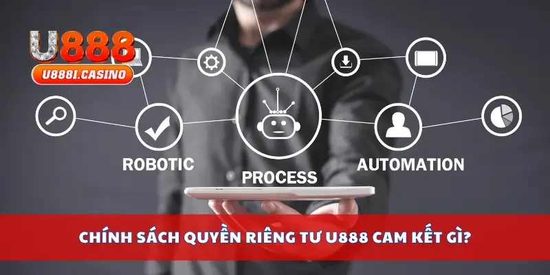 Chính sách quyền riêng tư cam kết gì?