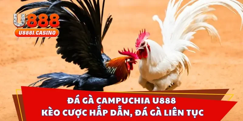 Đá gà Campuchia