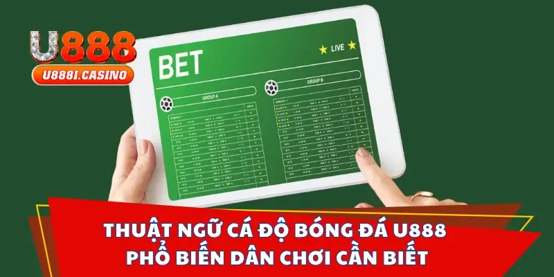 Thuật Ngữ Cá Độ Bóng Đá U888 Phổ Biến Dân Chơi Cần Biết