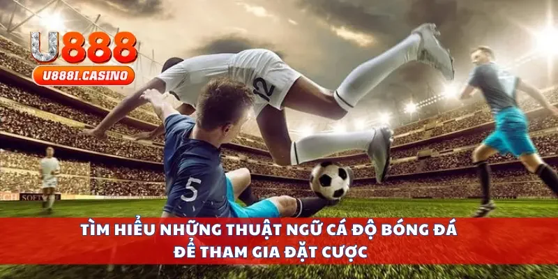 Tìm hiểu những thuật ngữ cá độ bóng đá để tham gia đặt cược